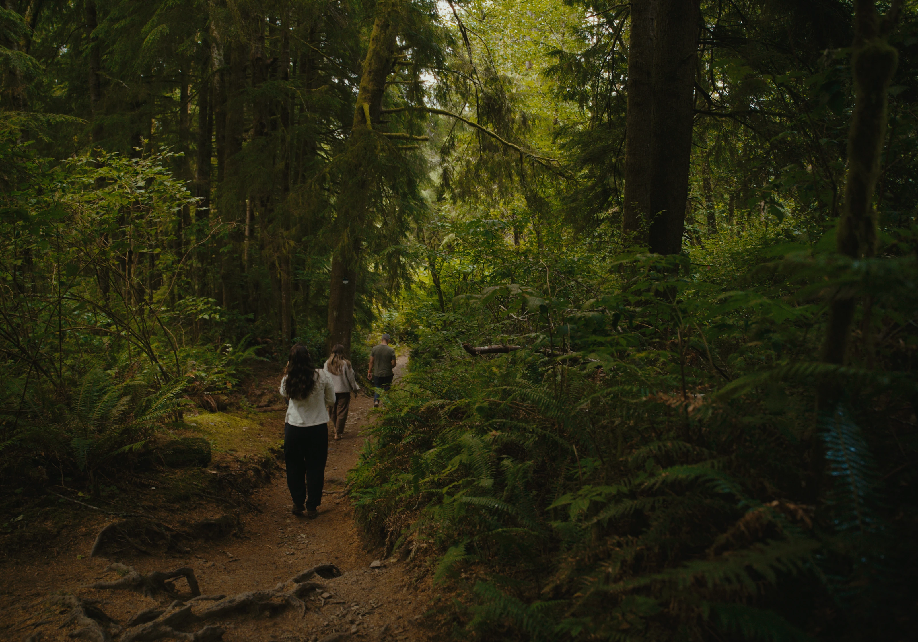 Three people walking through a mossy forest trail.